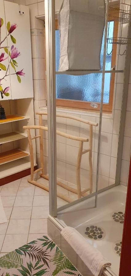 Ferienwohnung Vogl Mit Klimaanlage Und Kaminofen Viechtach Exteriér fotografie